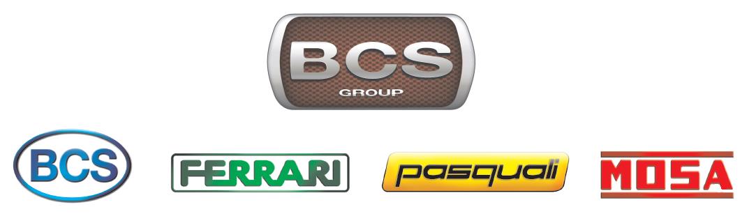 Группа компаний BCS